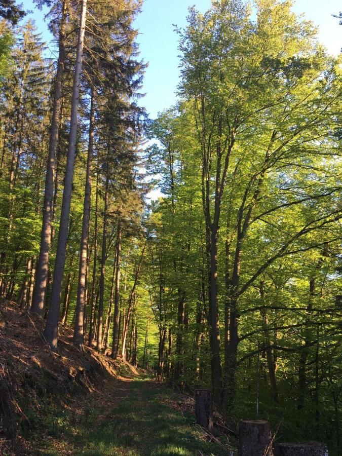 Waldnest Odenwald Hotell Exteriör bild