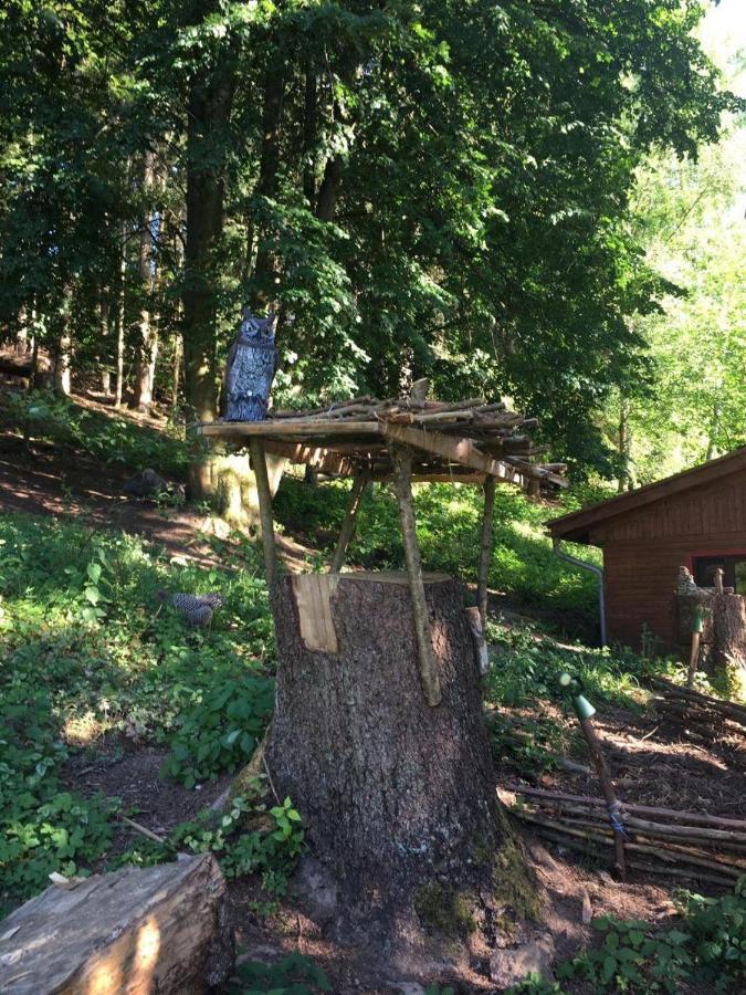 Waldnest Odenwald Hotell Exteriör bild