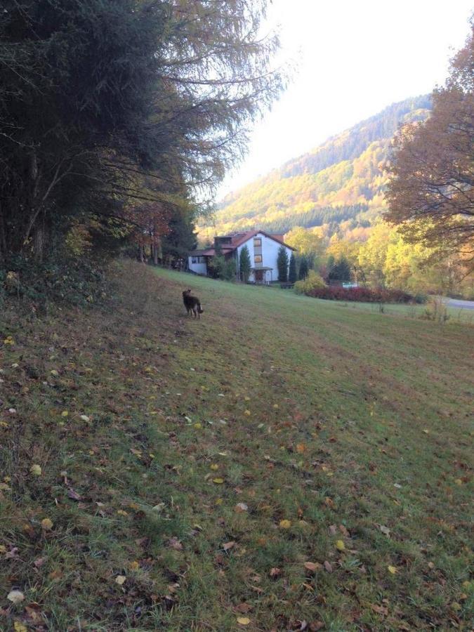 Waldnest Odenwald Hotell Exteriör bild